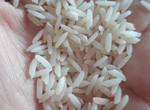 https://shp.aradbranding.com/خرید و قیمت برنج طارم محلی مازندران + فروش عمده
